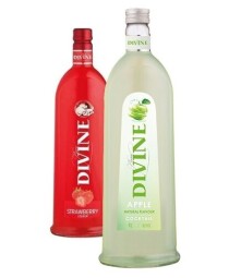 DIVINE - JELZIN 0,5 l
